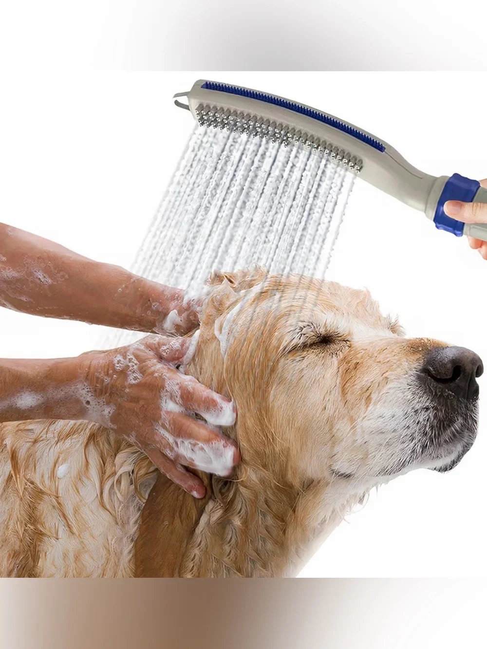 Waterpik Hose with Handheld Wand